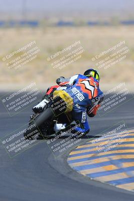 media/May-13-2023-SoCal Trackdays (Sat) [[8a473a8fd1]]/Turn 11 Backside (945am)/